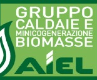 Gruppo Caldaie e Minicogenerazione Biomasse